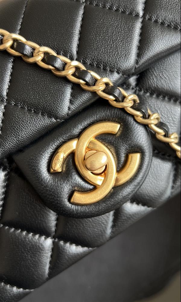 2026131214219322 650